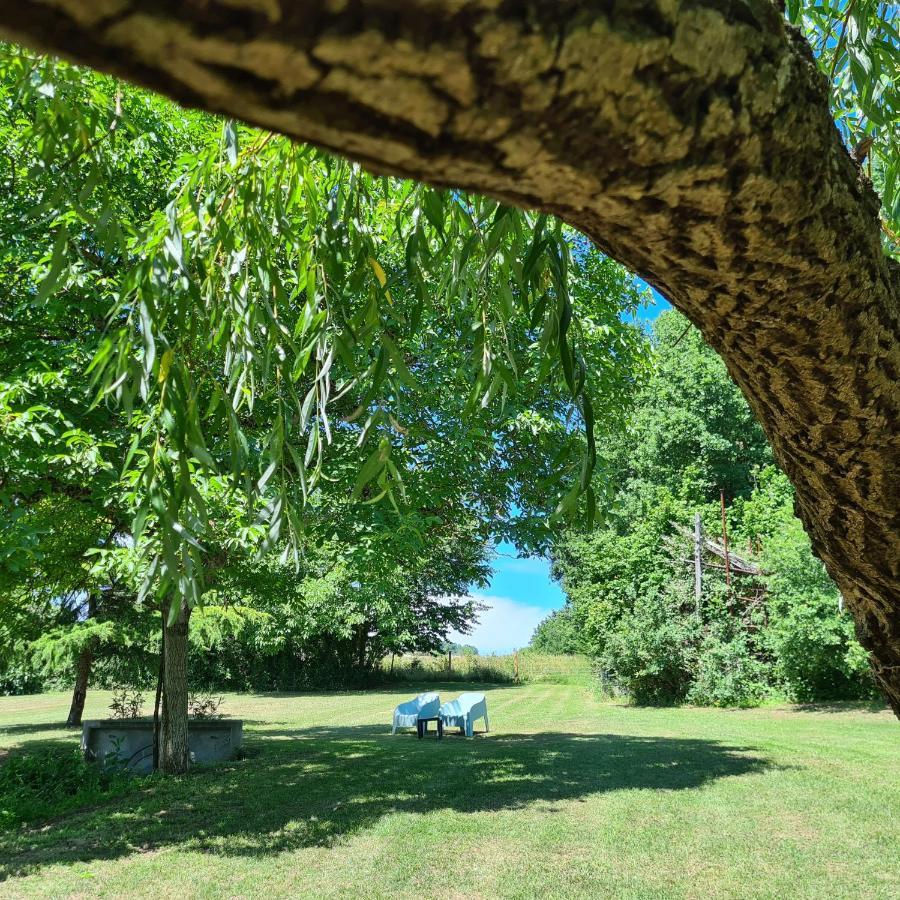 Bed & Breakfast Le Coq En Repos Saint-Sylvestre-sur-Lot
