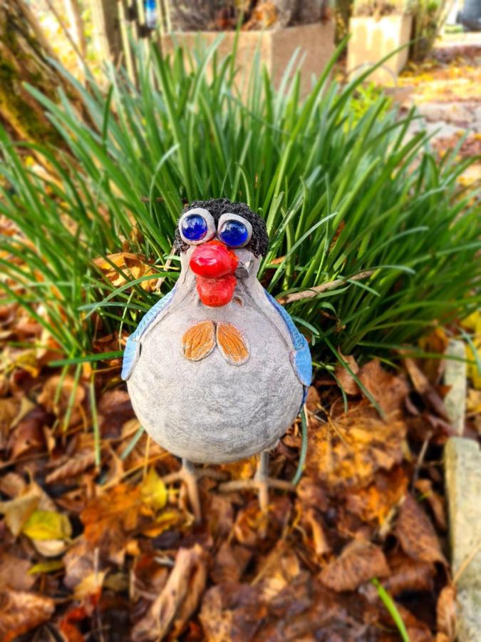 Le Coq En Repos Saint-Sylvestre-sur-Lot