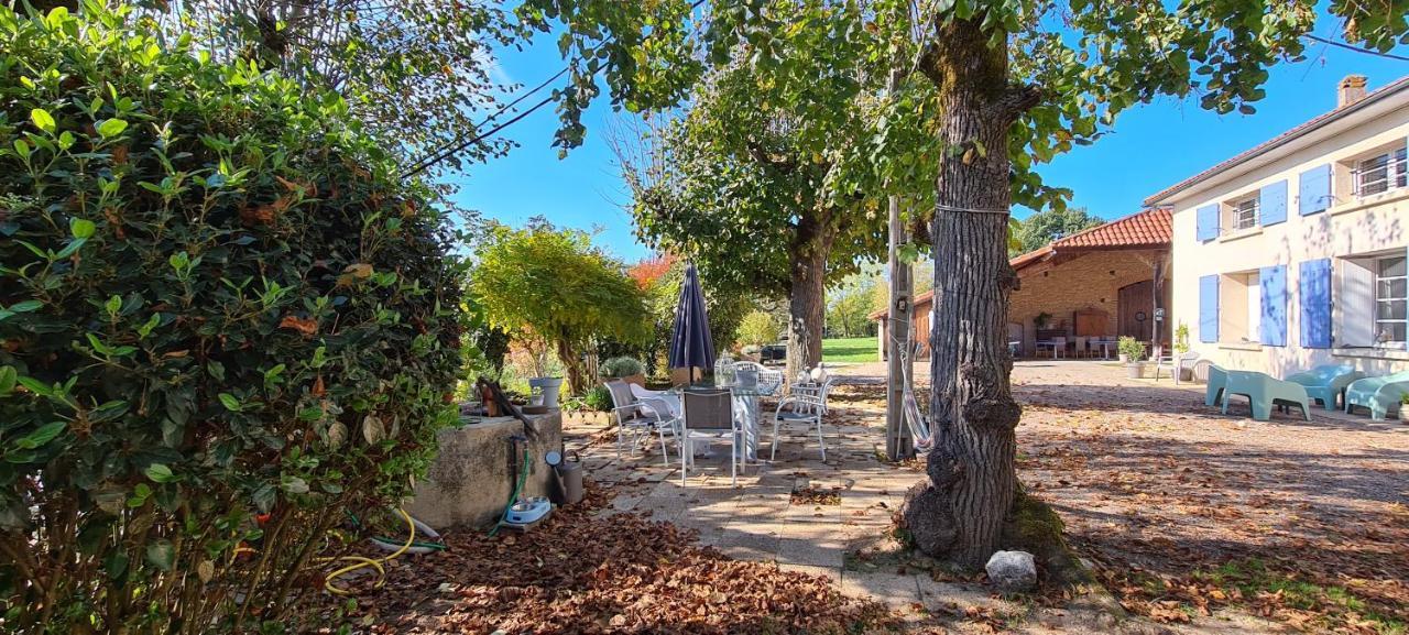 Le Coq En Repos * Saint-Sylvestre-sur-Lot
