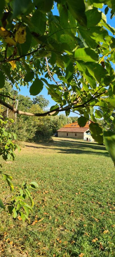 Bed & Breakfast Le Coq En Repos *
