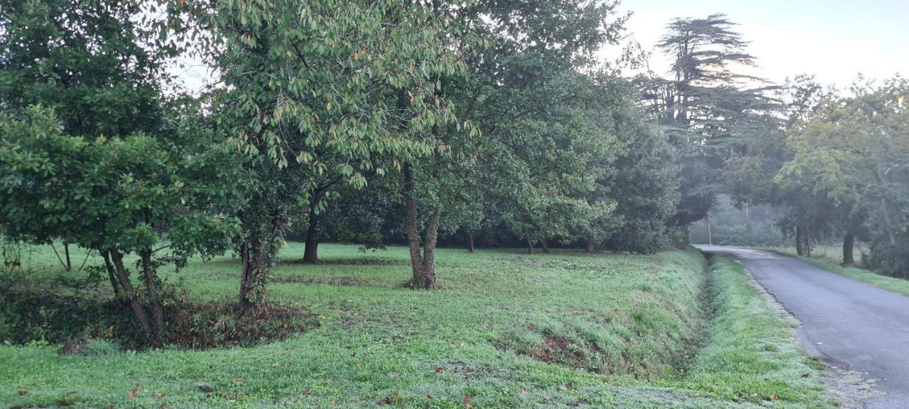 Le Coq En Repos Saint-Sylvestre-sur-Lot