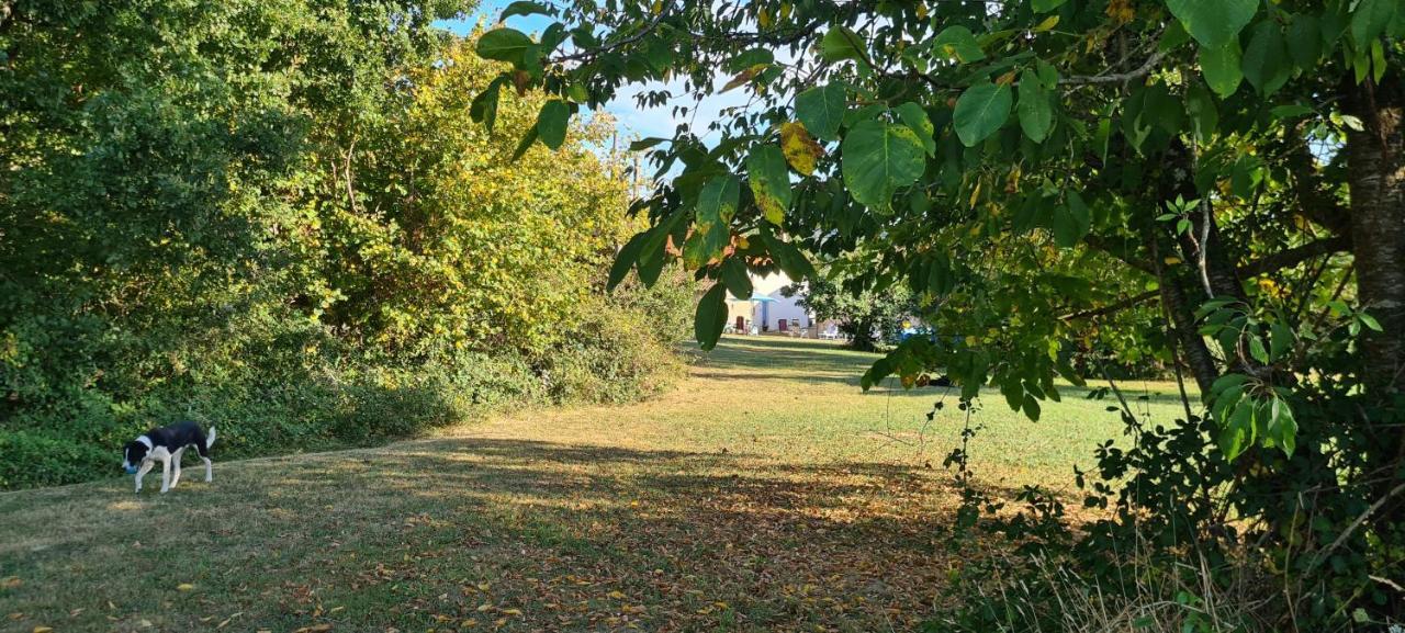 Le Coq En Repos * Saint-Sylvestre-sur-Lot